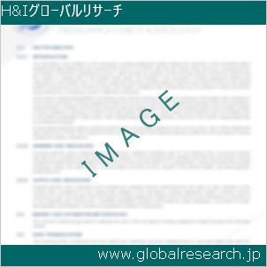 グローバルリサーチ調査レポートのイメージ